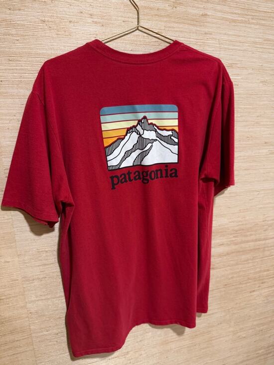 Patagonia Other - Patagonia Fitz Roy Horizons Responsibili-Tee Men’s Sz Large Regular Fit